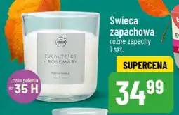 Polomarket Świeca zapachowa oferta