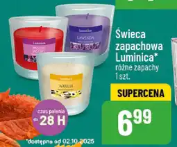 Polomarket Świeca zapachowa Luminica oferta