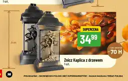 Polomarket Znicz Kaplica z drzewem oferta