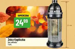 Polomarket Znicz Kapliczka bez wkładu oferta