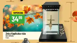Polomarket Znicz Kapliczka róża bez wkładu oferta