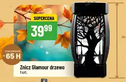 Polomarket Znicz Glamour drzewo oferta