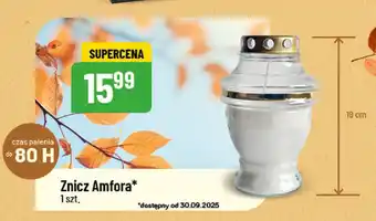Polomarket Znicz Amfora oferta