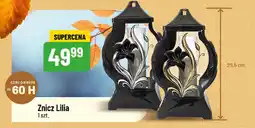 Polomarket Znicz Lilia oferta