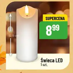 Polomarket Świeca LED oferta