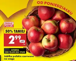 Biedronka Jabłko polskie czerwone na wagę oferta
