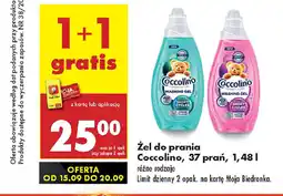 Biedronka Żel do prania Coccolino oferta