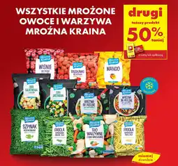 Biedronka Wszystkie mrożone owoce i warzywa mroźna kraina oferta