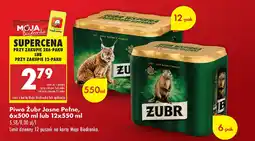 Biedronka Piwo Żubr Jasne Pełne oferta