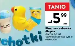 Intermarche Zabawka dla psa skarpetka oferta