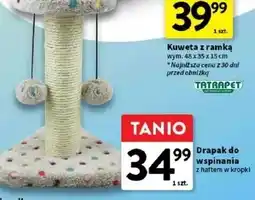 Intermarche Drapak dla kota oferta
