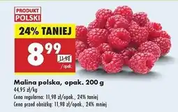 Biedronka Maliny polska oferta