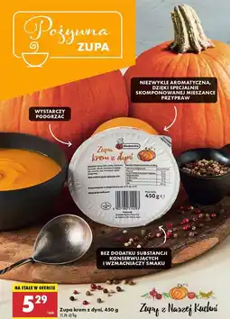 Biedronka Zupa krem z dyni Biedronka oferta