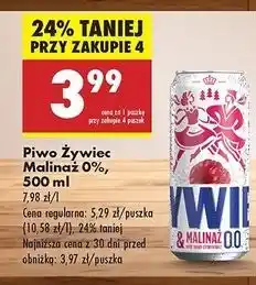 Biedronka Piwo Żywiec Malinaż oferta