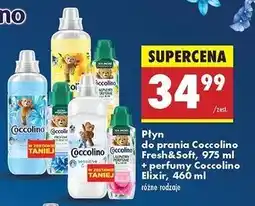 Biedronka Płyn do płukania sensitive 975 ml + perfumy prania first blooms 460 Coccolino oferta