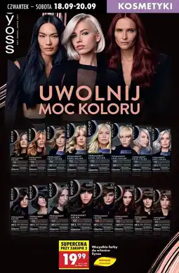 Biedronka Farba do włosów 1.4 Syoss Permanent oferta
