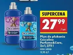Biedronka Płyn do płukania purple orchid & blueberries Coccolino Perfume Care oferta