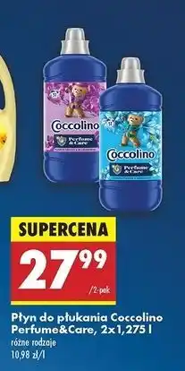 Biedronka Płyn do płukania purple orchid & blueberries Coccolino Perfume Care oferta