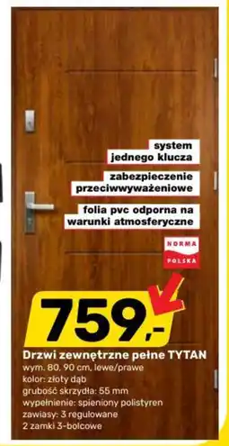 Bricomarche Drzwi zewnętrzne pełne TYTAN oferta