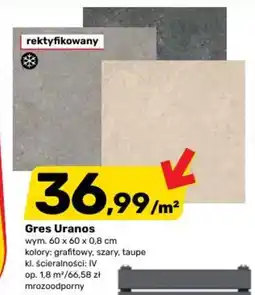 Bricomarche Gres Uranos oferta