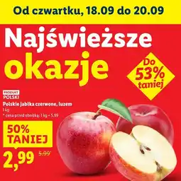 Lidl Jabłka czerwone 1 kg Lidl oferta