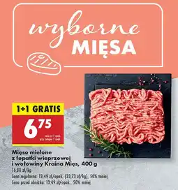 Biedronka Mięso mielone z łopatki wieprzowej i wołowiny Kraina Mięs oferta