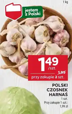 Stokrotka Market Czosnek Harnaś oferta