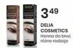 Sekret Urody DELIA COSMETICS Henna do brwi oferta
