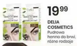 Sekret Urody DELIA COSMETICS Pudrowa henna do brwi oferta