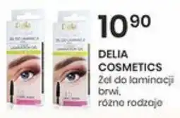 Sekret Urody DELIA COSMETICS Żel do laminacji brwi oferta
