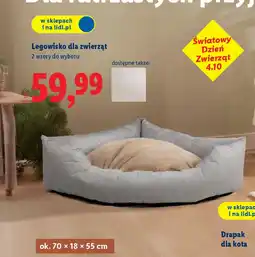 Lidl Legowisko dla zwierząt oferta