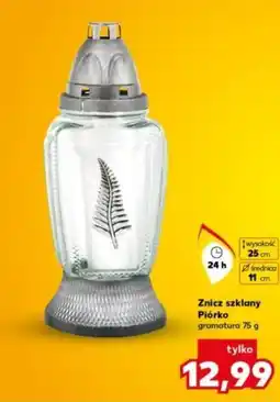 ALDI Znicz szklany Piórko oferta