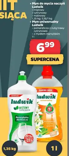 Netto Płyn do mycia naczyń cytrynowy Ludwik oferta