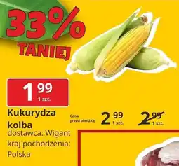E.Leclerc Kukurydza Wigant oferta