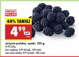 Biedronka Jeżyna polska oferta