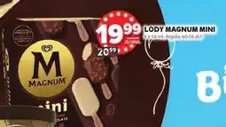Stokrotka Lody na patyku Magnum Mini oferta