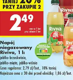 Biedronka Lemoniada Riviva oferta