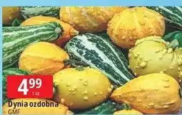 E.Leclerc Dynia ozdobna oferta