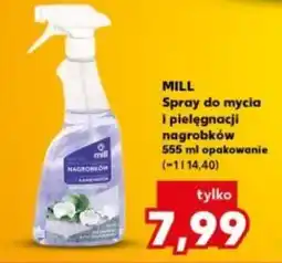ALDI MILL Spray do mycia i pielęgnacji nagrobków oferta