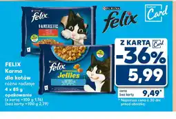 Kaufland Felix Karma dla kotów oferta