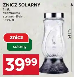 Stokrotka Znicz oferta