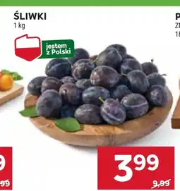 Stokrotka Śliwki Polski oferta