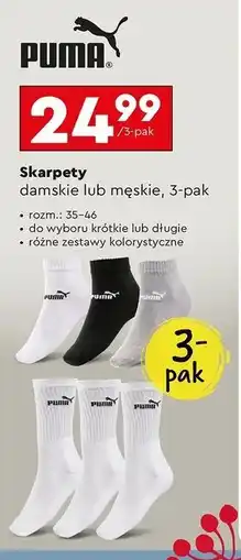 Biedronka Skarpety damskie 35-46 Puma oferta