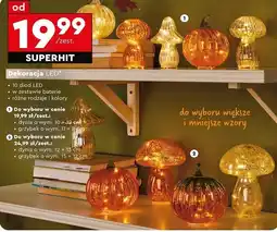 Biedronka Grzybek led 15 x 12 cm oferta
