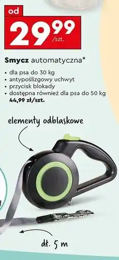 Biedronka Smycz automatyczna dla psa do 50 kg Activ Pet oferta