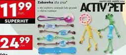Biedronka Gryzak dla psa Activ Pet oferta