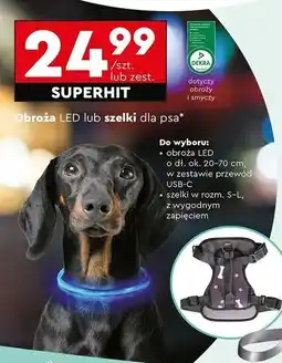 Biedronka Szelki dla psa s - l Activ Pet oferta