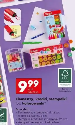 Biedronka Kolorowanka artystyczna Kayet oferta