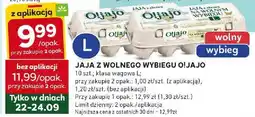 Stokrotka Jaja z wolnego wybiegu klasa L, 10 szt. O!jajo oferta