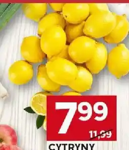 Stokrotka Cytryny 1 kg Stokrotka oferta